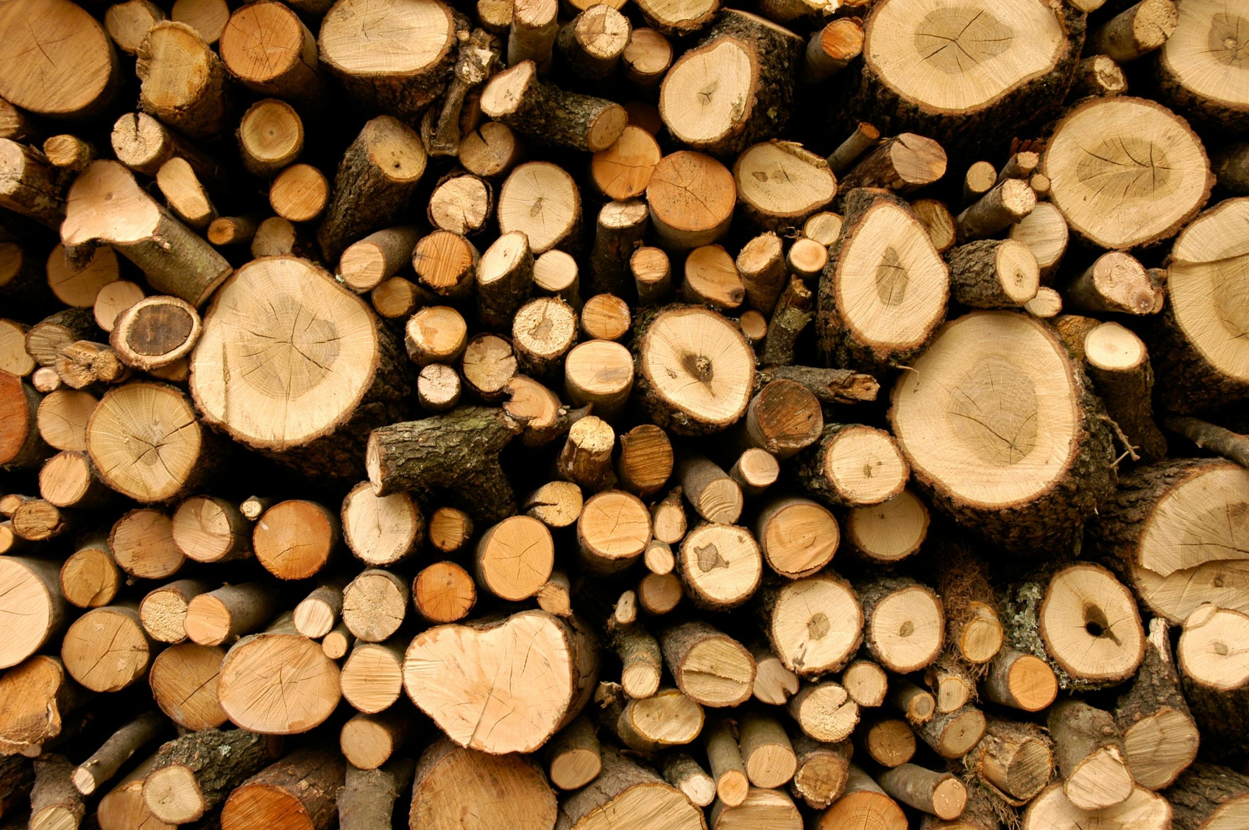 a picture of logs
